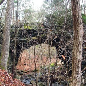 tangled twigs and branches in front of natural rock bridge