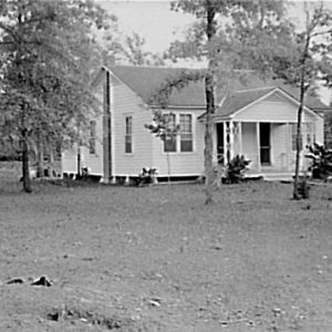 House surrounded by trees with brick chimney