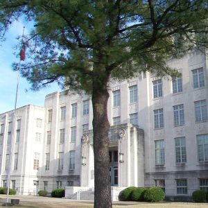 Pine tree outside multistory building