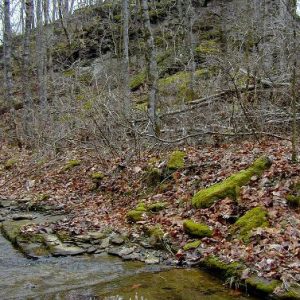 Rock outcropping on tree-covered hill with creek in the foreground