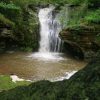 waterfall surrounded by foliage