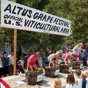 White children smashing grapes in wooden buckets on platform beneath sign "Altus Grape Festival" while other white children and adults watch them