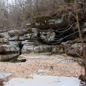 Multilayered rock wall with cave entrance and pool in forest