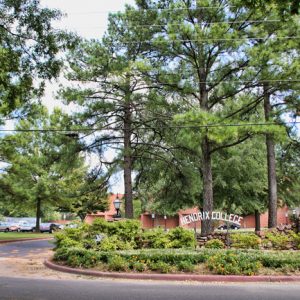 circular driveway with pine trees and sign in center "Hendrix College," buildings in background