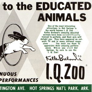 Print advertisement for "Keller Bulard's I.Q. Zoo, Hot Springs National Park, Arkansas" with rabbit jumping through hoop illustration