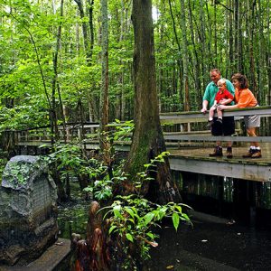 White family on wooden walking path in swamp looking down at a stone monument