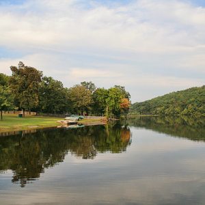 calm lake next to field with trees