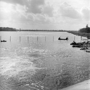 Two men canoeing in lake beyond post and cable water fence and driftwood near highway