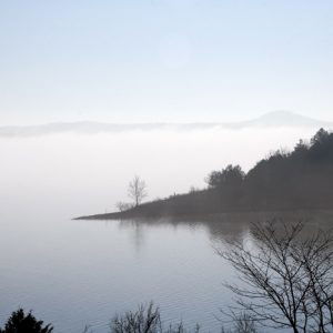 fisherman in a boat on fog covered lake