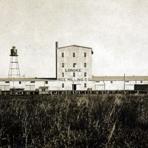 Rice mill with water tower and sign "Lonoke Rice Milling Co" beyond large rice field.