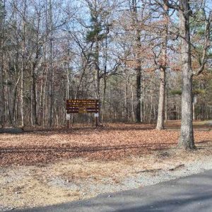 Wooden sign in wooded area