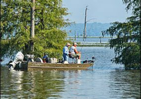 two men fishing from a boat in a lake with cypress trees