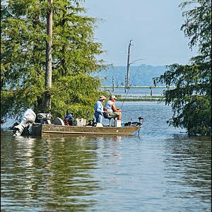 two men fishing from a boat in a lake with cypress trees