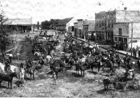 Numerous horses with riders in street with buildings in background