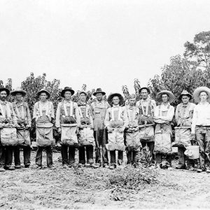 Mixed group of men in hats with bags of peaches around their necks and buckets