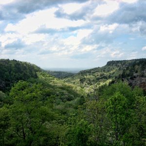 Looking between two tree covered mountains under cloudy skies