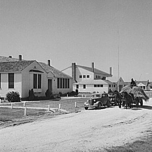 Farmer on horse drawn wagon loaded with hay passing by parked car on dirt road in residential neighborhood