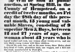 "Negroes for sale" advertisement