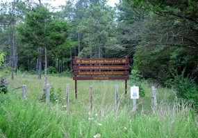 "Stone Road Glade Natural Area Arkansas Natural Heritage Commission" sign in overgrown field with trees