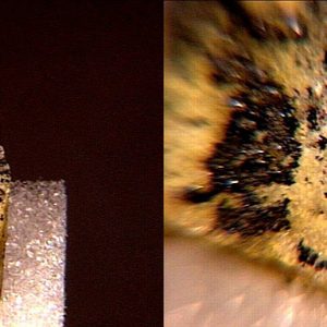 Two photos of pointed three color stone with closeup of dark shimmering spots