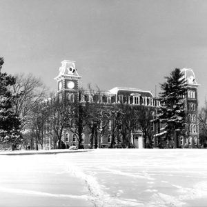 Winter scene with tall trees and building elevated tours on either end