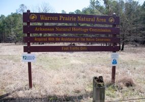 "Warren Prairie Natural Area Arkansas Natural Heritage Commission" in clearing