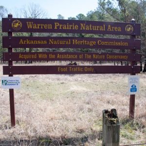 "Warren Prairie Natural Area Arkansas Natural Heritage Commission" in clearing