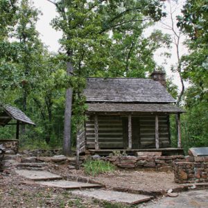 small wooden cabin with covered well