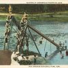 Adults and children in swimming gear at lakeside with two metal slides in foreground