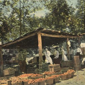 White women in dresses and several men in hats beneath shelter