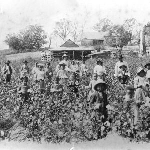 Large number of African American men