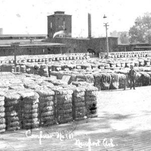 Large number of bales sitting on dock