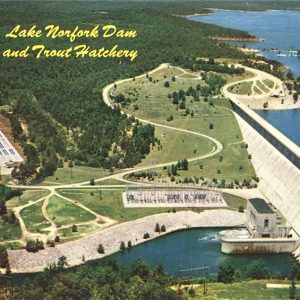 Aerial view of dam and lake and a forest