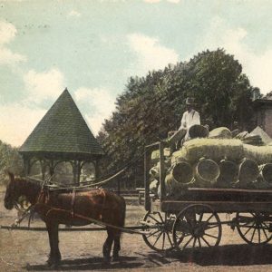 Man in horse-drawn wagon filled with baskets