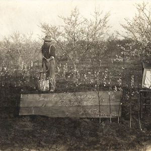 Man with beard and hat in orchard spraying small trees