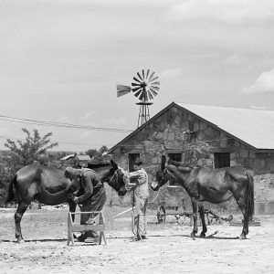 A man and a boy and two horses in front of stone building