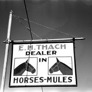 Sign advertising horses and mules showing the head of a horse and the head of a mule