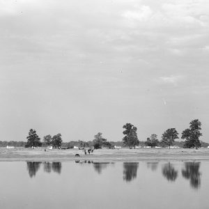 Houses and horses viewed across a body of water