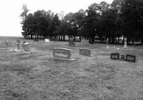 Gravestones and trees at a cemetery