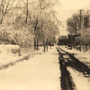 Trees and road covered in snow