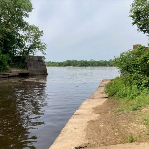 Small creek flowing into larger river with trees on the bank