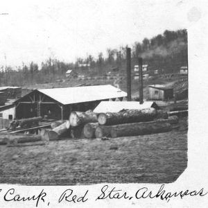 Buildings and logs on a hillside