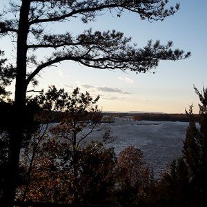 View of lake from behind trees at dusk