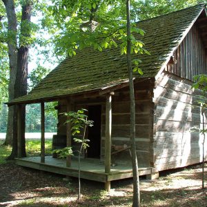 Single story log cabin surrounded by trees and saplings