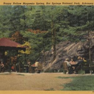 People sitting in covered picnic area and at tables next to trees and rocks