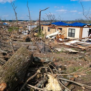 Fallen tree surrounded by branches with tarp-covered damaged house nearby