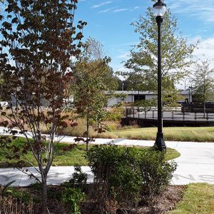 Walkway through trees and park