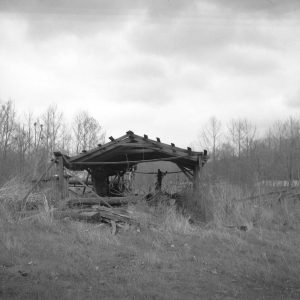 Single story abandoned wooden shed with weeds growing everywhere