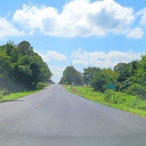 Highway with trees and vegetation on both sides