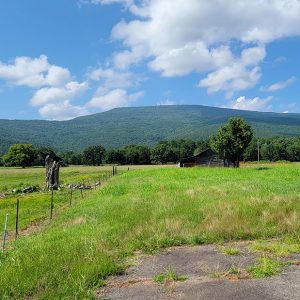 tree covered mountain with a barn